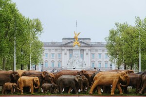 HOUSE of WARIS Launches Certified Elephant-Friendly Black Tea With Elephant Family's Coexistence Exhibition in The Royal Parks of London