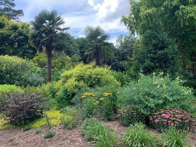 Juniper Level Botanic Garden - Summer Open Garden Days - July 16-18 and July 23-25