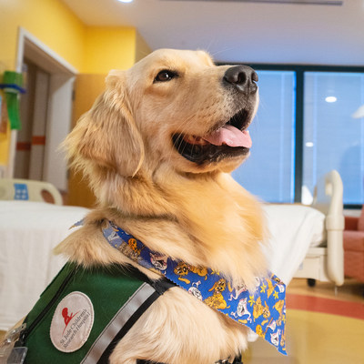 As specially trained service dogs, Huckleberry and Puggle carry out helpful tasks to ensure St. Jude patients feel safe and secure on their treatment journey.