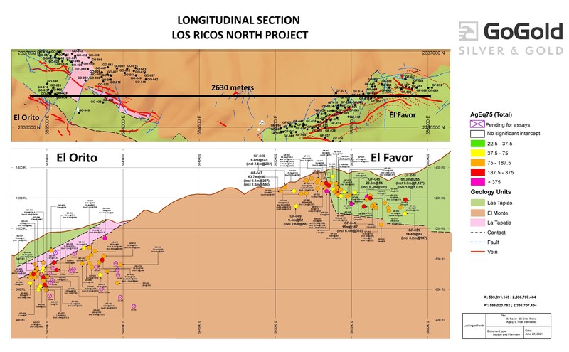 Figure 2: Favor-Orito Long Section (CNW Group/GoGold Resources Inc.)