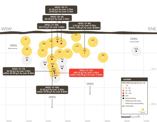 Figure 3. Lotto Long Section (see B-B' on Plan View, Figure 1) (CNW Group/New Found Gold Corp.)