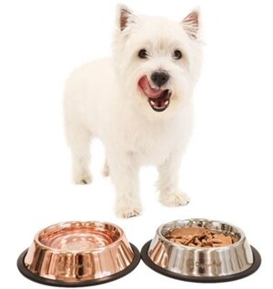Say Goodbye to Slimy Pet Bowls!