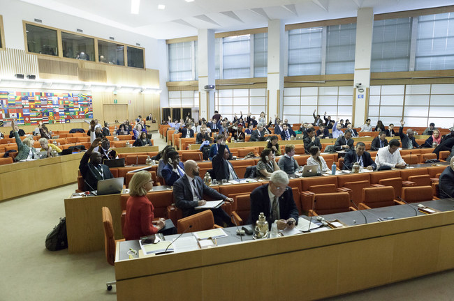 Over 220 participants attended the fifth Global Meeting of the Mountain Partnership December 11-13, 2017 at FAO headquarters in Rome, Italy, under the theme 'Mountains under pressure: climate, hunger, migration.' Photo Credit: FAO/Roberto Cenciarelli