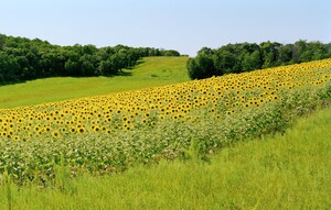 Enbridge announces closing of Sustainability Linked Bond Financing