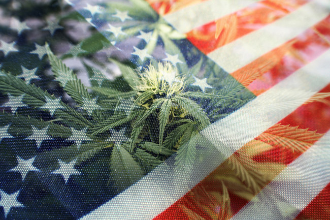 4th of July is expected to bring in large sales for the cannabis industry