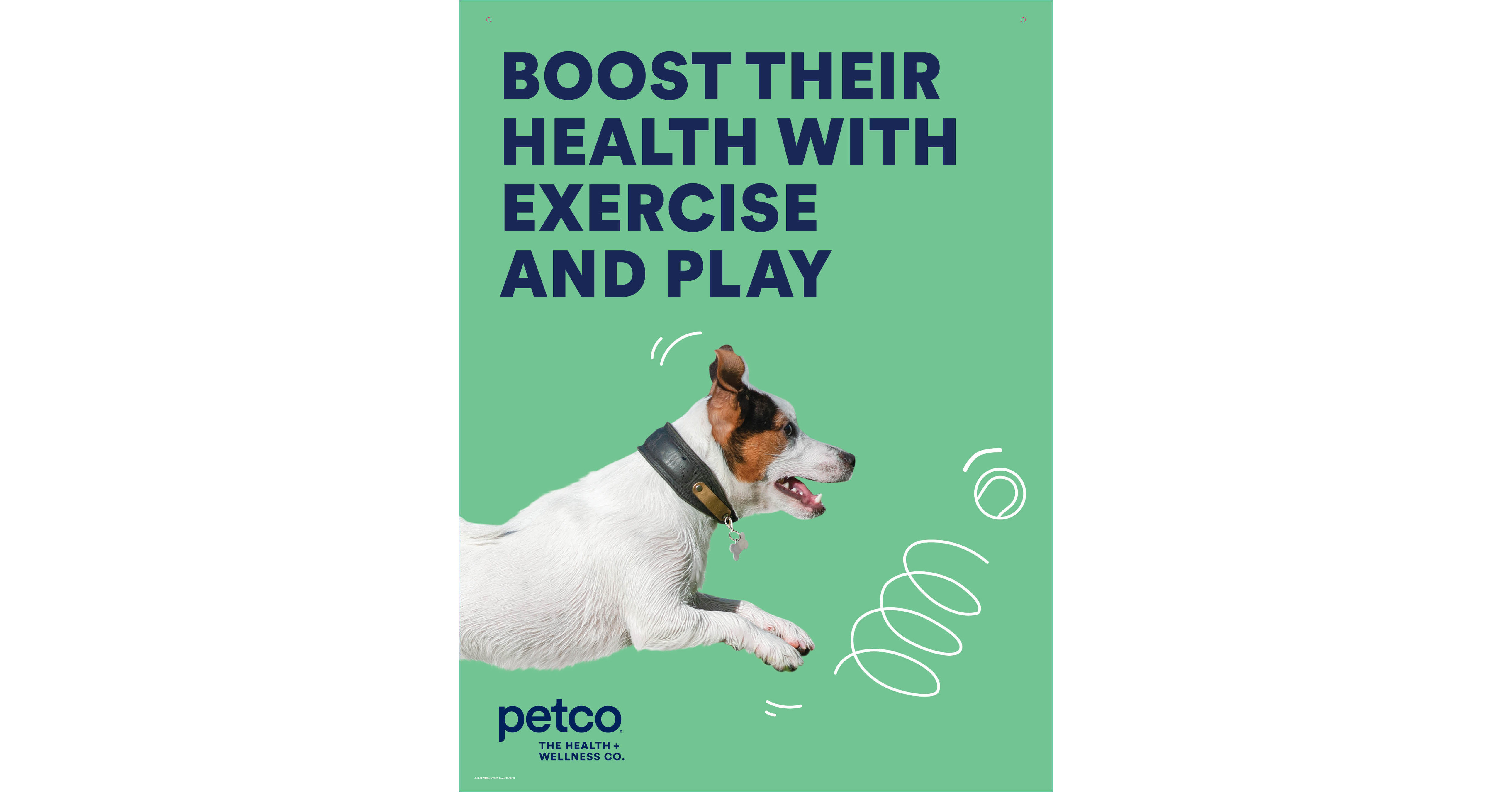 Petco Encourages Healthy Summer Habits for Pets, Shares Essential Tips