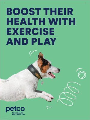 Petco Encourages Healthy Summer Habits for Pets, Shares Essential Tips to Enhance Their Exercise Routine and Whole Health