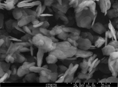 Figure 1: Scanning Electron Microscopy Image of Micronized South Star Flake (CNW Group/South Star Mining Corp.)