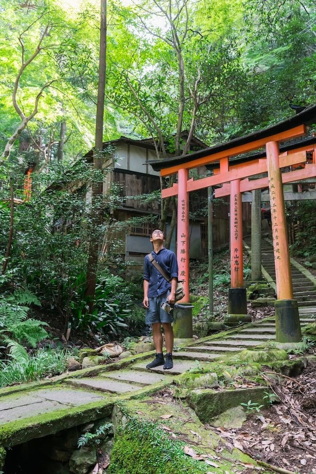 Your guide live from Kyoto.