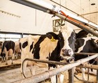 New Initiative, Sustainable Dairy PA, Sparks Promise For More Climate-Friendly Dairy Supply Chain In Chesapeake Bay Watershed