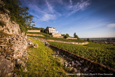 Château Gris, Maison Albert Bichot (PRNewsfoto/International Wine Challenge)