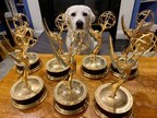 PenFed Digital Earns 7 Emmy Awards for Docuseries Highlighting Promising PTSD Treatment