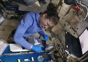 Student Team Publishes On First Use Of CRISPR/CAS9 Gene Editing Technology In Space