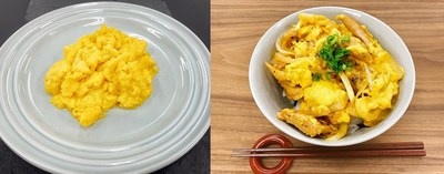 Left: The new NEXT EGG 1.0  Right: A Japanese dish 