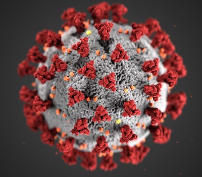 Illustration of COVID-19 virus. CDC/Alissa Eckert, MSMI; Dan Higgins, MAMS