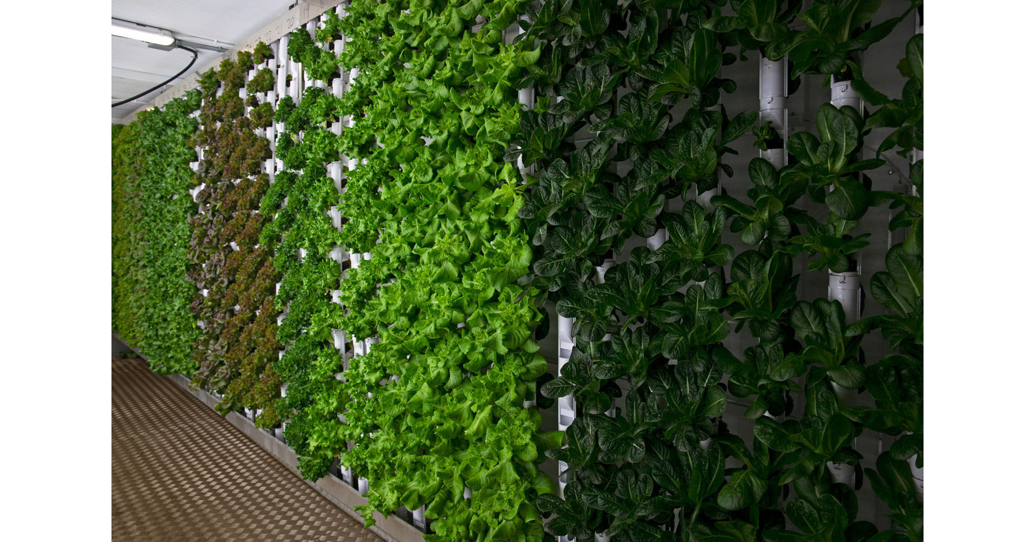 Natural Grocers Introduces GardenBox, Its First Organic Hydroponic Farm ...