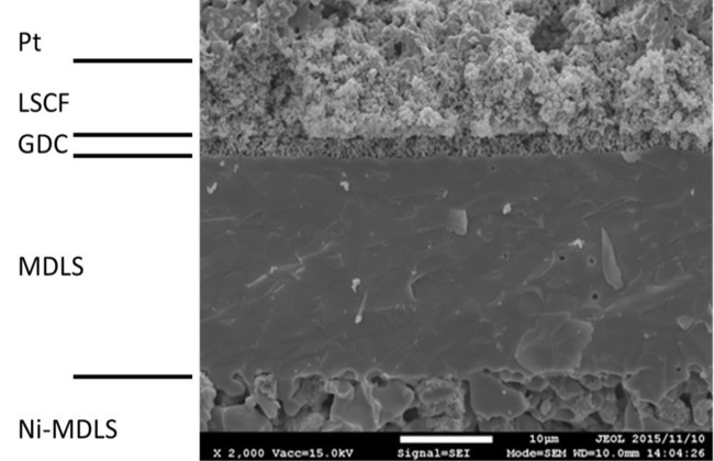 Electronic Microscope Observation of created SOFC