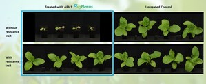 AgPlenus Announces Positive Results for a Herbicide Resistance Trait to its Leading Herbicide Product Candidate