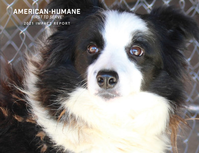 American Humane, the country's first national humane organization, worked harder than ever to protect animals during the global COVID-19 pandemic.