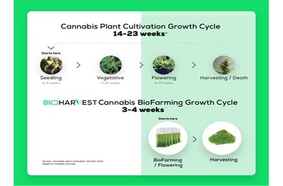 BioHarvest大麻生物养殖生命周期(PRNewsfoto/BioHarvest科学公司)