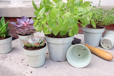 HC Introduces New Biobased Growing Containers to the Market