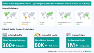 Company Insights for the Motor Vehicle Wholesale Industry | Emerging Trends, Company Risk, and Key Executives