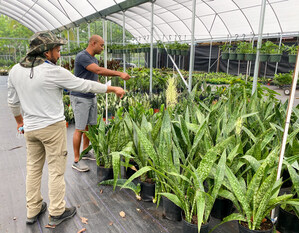 PlantVine Celebrates Its 4th Anniversary With Contests and Promotions Throughout July