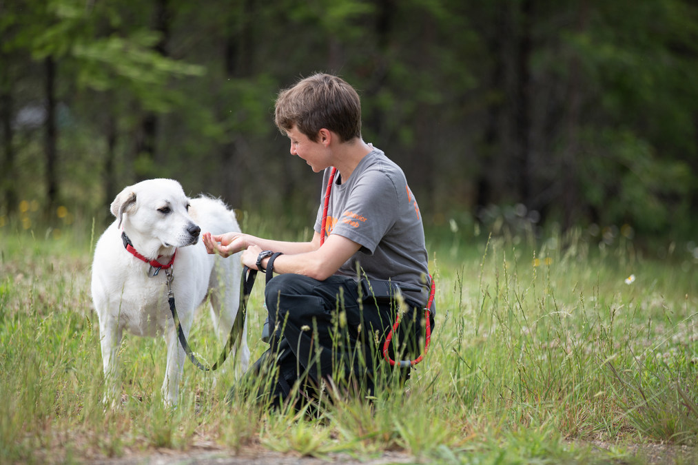 Aspca Announces The Development Of Two New Animal Recovery Facilities For Victims Of Cruelty And Neglect