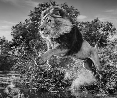 Photo: David Yarrow Photography