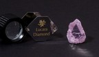 Lucara Recovers 62 Carat Fancy Pink Diamond "Boitumelo" From the Karowe Mine in Botswana