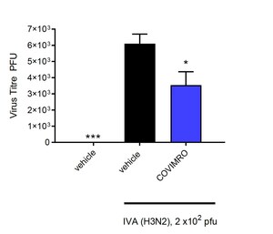 Novel Antiviral Compound Covimro Demonstrates In Vivo Efficacy Against Influenza Infection