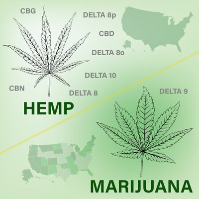 Hemp vs Marijuana - The cannabinoids of hemp