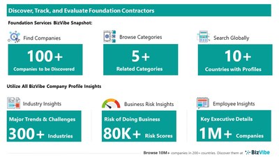 Snapshot of BizVibe's foundation service provider profiles and categories.