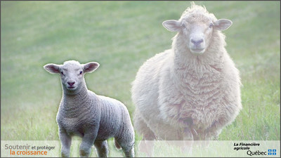 La Financire agricole verse une 1re avance de plus de 9 M $ aux producteurs d'agneaux (Groupe CNW/La Financire agricole du Qubec)
