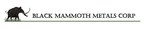 Black Mammoth Metals Doubles Claims Position at Happy Cat Gold Property