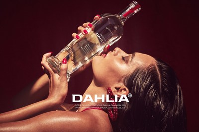 Dahlia Campaign Image