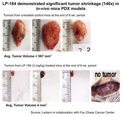 LP-184 demonstrated significant tumor shrinkage (146x) in in-vivo mouse PDX models of pancreatic cancer.