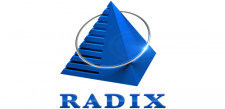 Radixweb Steers Continued Innovation for 21 Years
