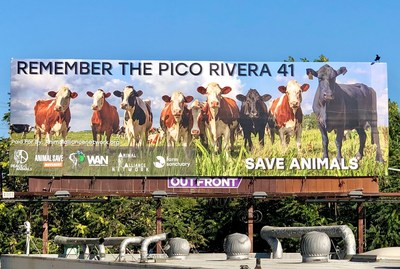 Sponsors Of The "Remember The Pico Rivera 41," Save Animals Billboard Located Near Manning Beef Slaughterhouse Include Animal Alliance Network, Peace 4 Animals, World Animal News, The Save Movement & Farm Sanctuary