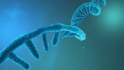 Pharma and Biotech to Highly Invest in RNA Therapeutics to Expedite Research &amp; Development across the Globe