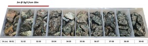 IOCG Styled Elevated Copper Associated with High-Grade Gold Mineralization at the Charger Prospect, Odienné Project, Cote d'Ivoire