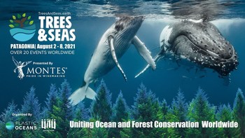 Trees & Seas unites ocean and forest conservation in over 30 locations worldwide, August 2 - 8, 2021.