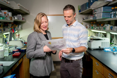 Dr. Tanja Mittag and Dr. Erik Martin of St. Jude Children's Research Hospital have published research showing that liquid-liquid phase separation can be involved in neurodegenerative diseases such as amyotrophic lateral sclerosis (ALS) and cancer.