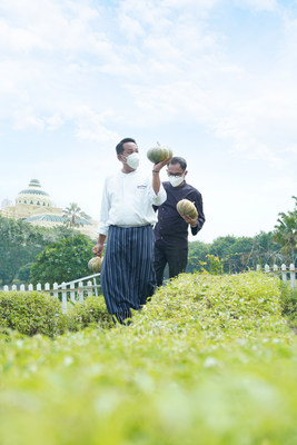 Chef Twedi Martatna and Chef Hijrah Mustofa, harvesting plants from The Westin Surabaya's botanical garden