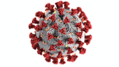 Coronavirus: Research for New Treatments