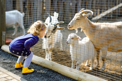 According to veterinarians, some animal-borne diseases can be transmitted from farm animals to people and pets. Those attending state fairs and petting zoos should be aware of the health risks and preventive measures you can take to be safe when petting and feeding animals at these and other fun venues.