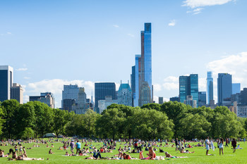 Central Park's Great Lawn