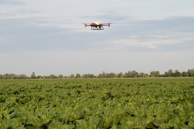 XAG Agricultural Drone conducted fungicide spraying on Ukraine sunflower crops after rains