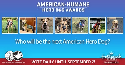Voting begins today for America's top dog!
