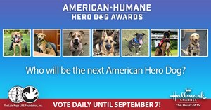 Meet America's Top Dogs! Seven Remarkable Canines Named Finalists for 2021 American Humane Hero Dog Awards®